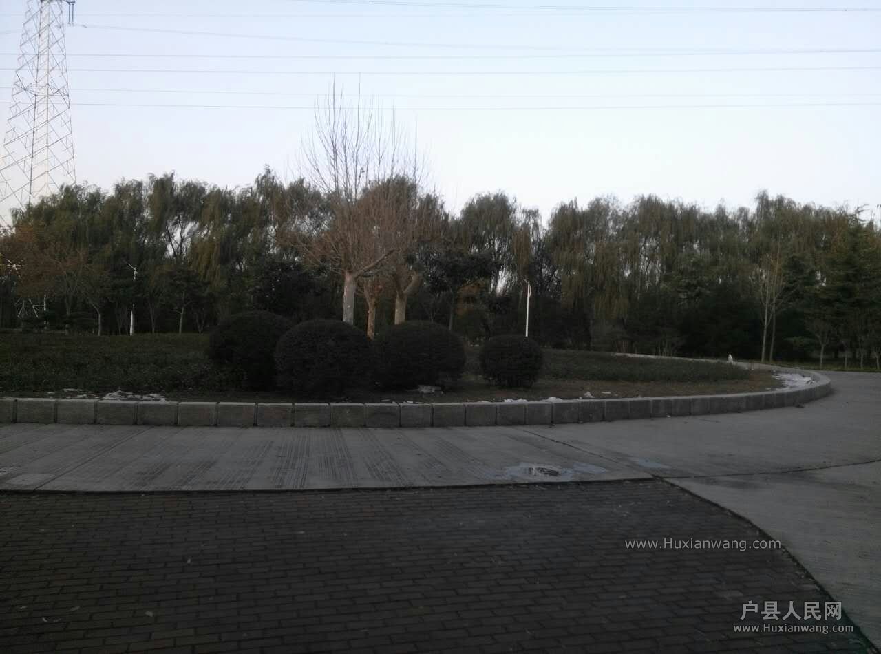 mmexport1449093842902.jpg