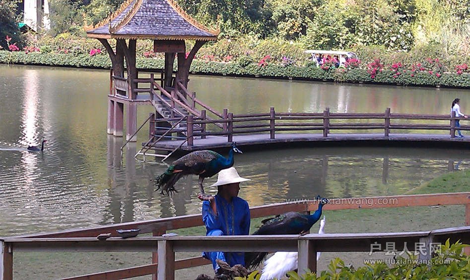 IMAG0678_.jpg