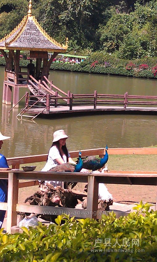 IMAG0687_.jpg