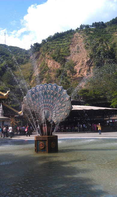 IMAG0731_.jpg