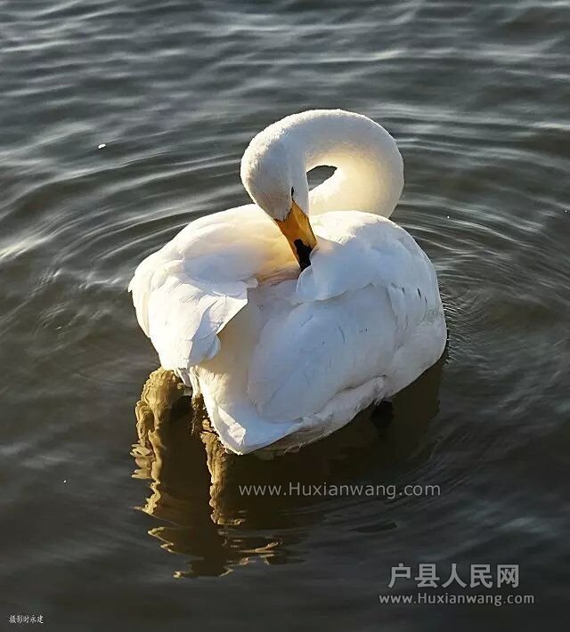 QQͼƬ20151206102733.jpg