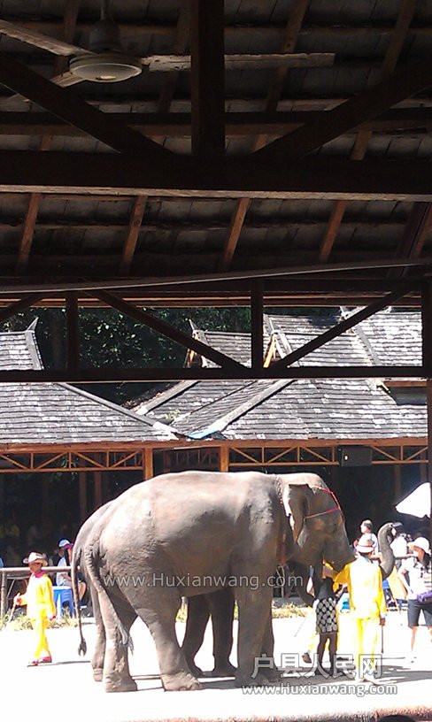 IMAG0575_.jpg