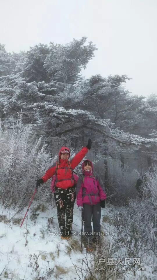 QQͼƬ20151221150236.jpg