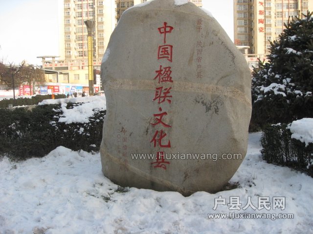 IMG_4382.JPG