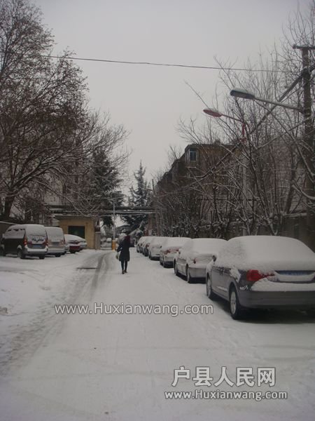 DSC08606_.jpg