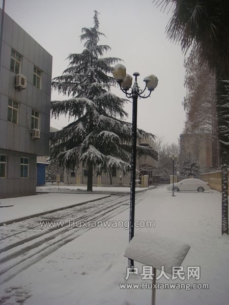DSC08593_.jpg