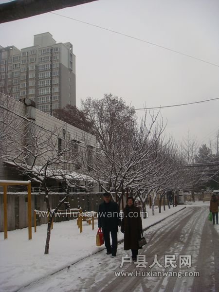 DSC08606_.jpg
