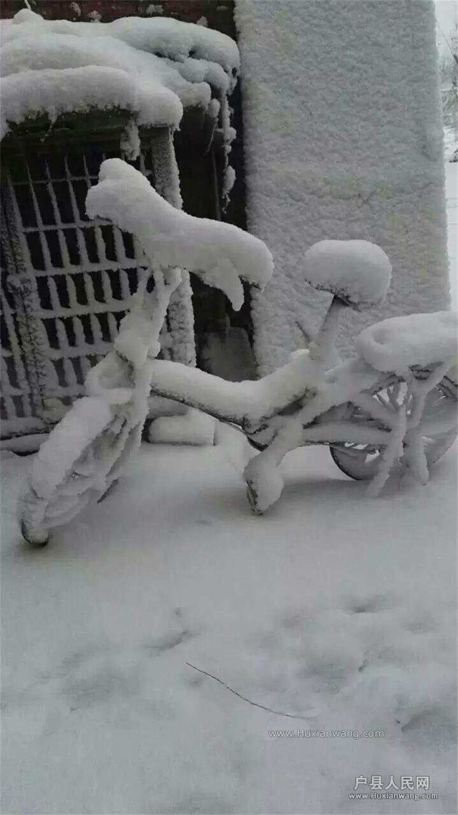 ѩ.jpg