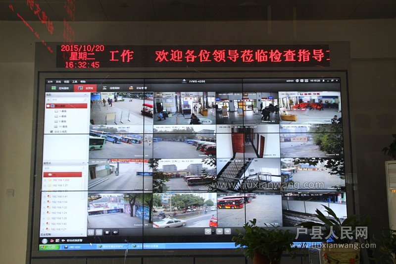豸