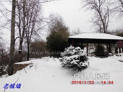 nEO_IMG_DSCI5513.jpg