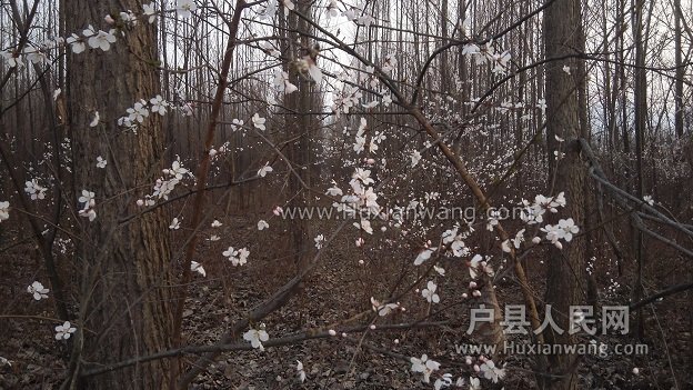 IMG_20160310_180617.jpg