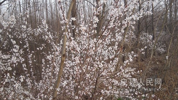 IMG_20160310_180909.jpg