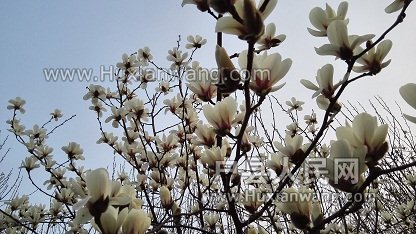 IMG_20160318_182326.jpg