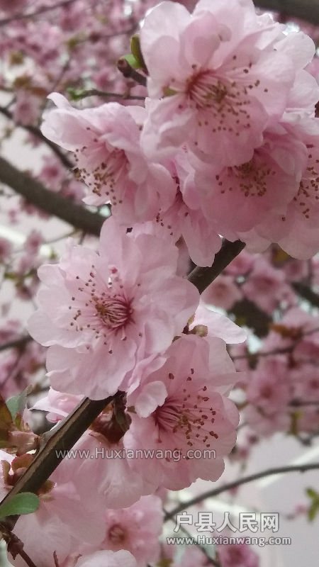 20160323_122142.jpg