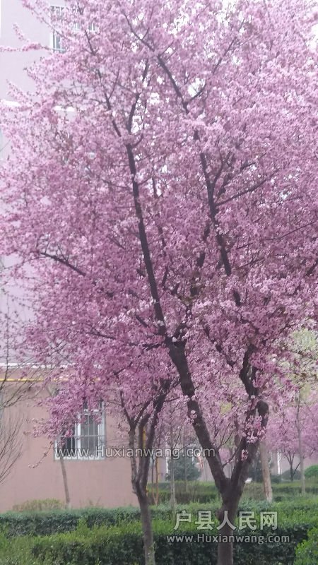 20160323_121903.jpg