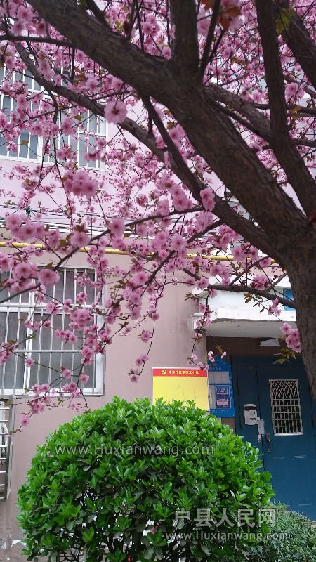 20160323_121815.jpg
