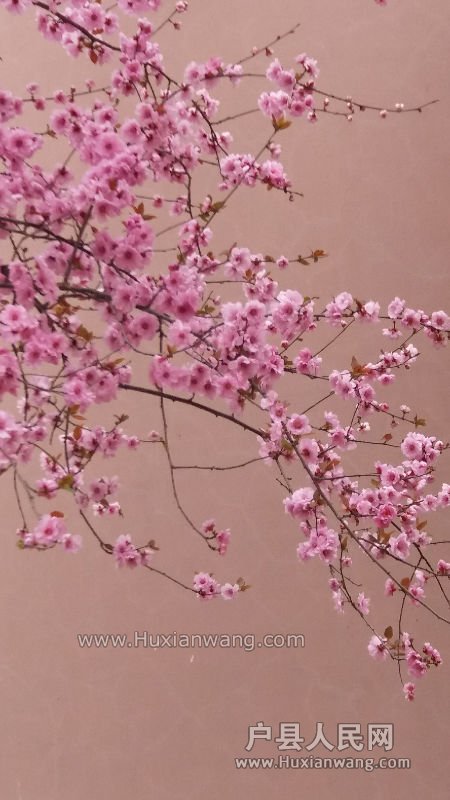 20160321_122108.jpg