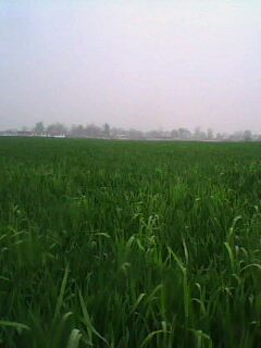 IMG0015A.jpg