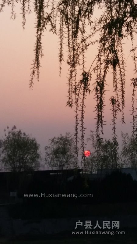 20160330_184740.jpg