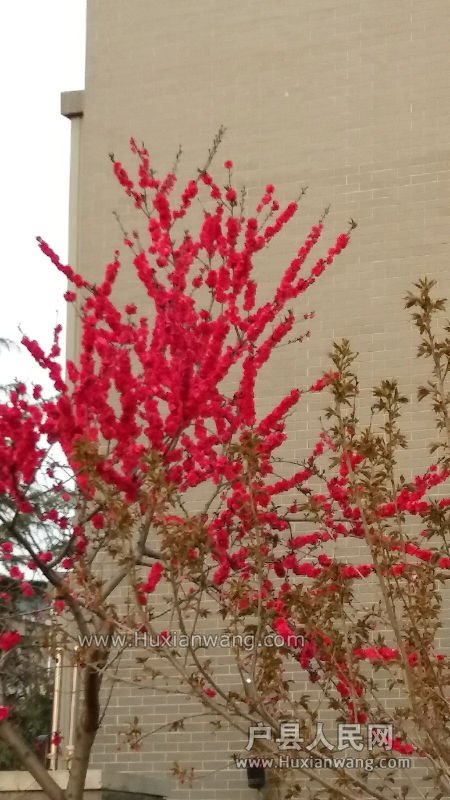 20160330_182906.jpg