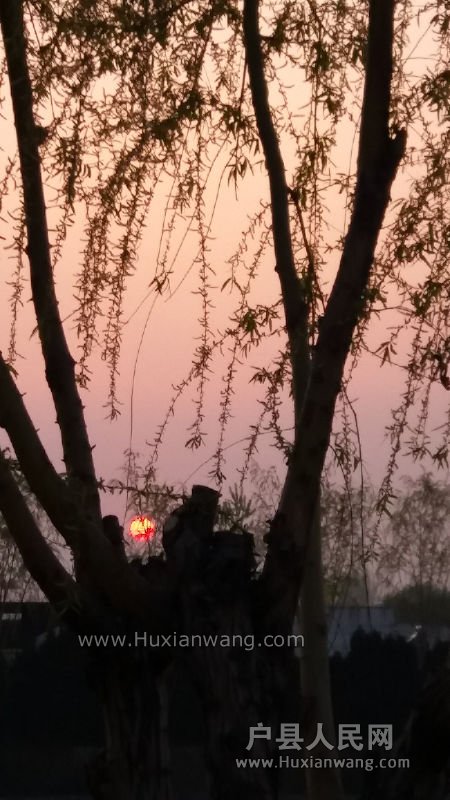 20160330_184619.jpg