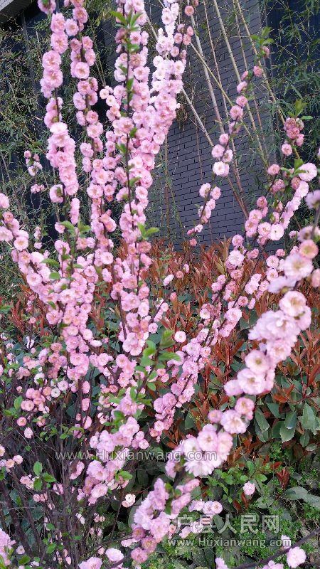20160330_183414.jpg