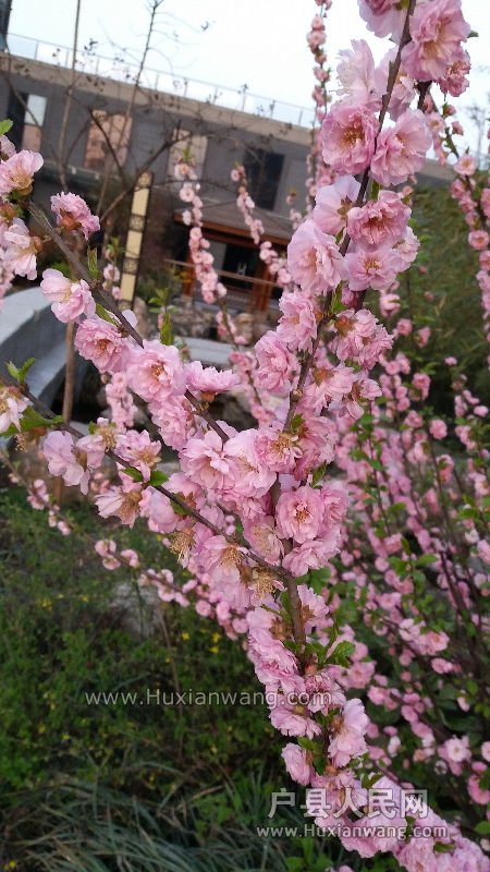 20160330_183408.jpg