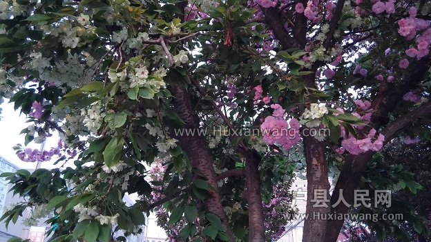 IMG_20160401_185757.jpg
