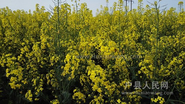 IMG_20160407_172244.jpg