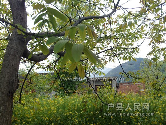 PHOT0023_.jpg