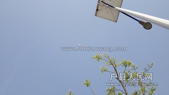 0000IMG_20160410_163241.jpg