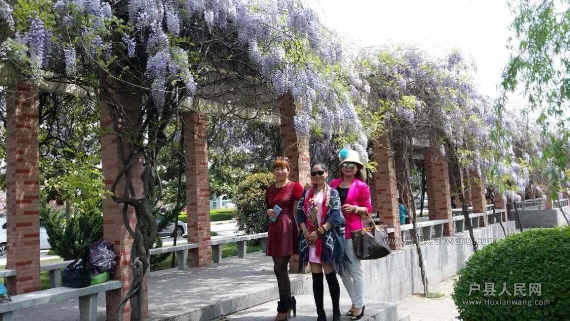 QQͼƬ20160413090010.jpg