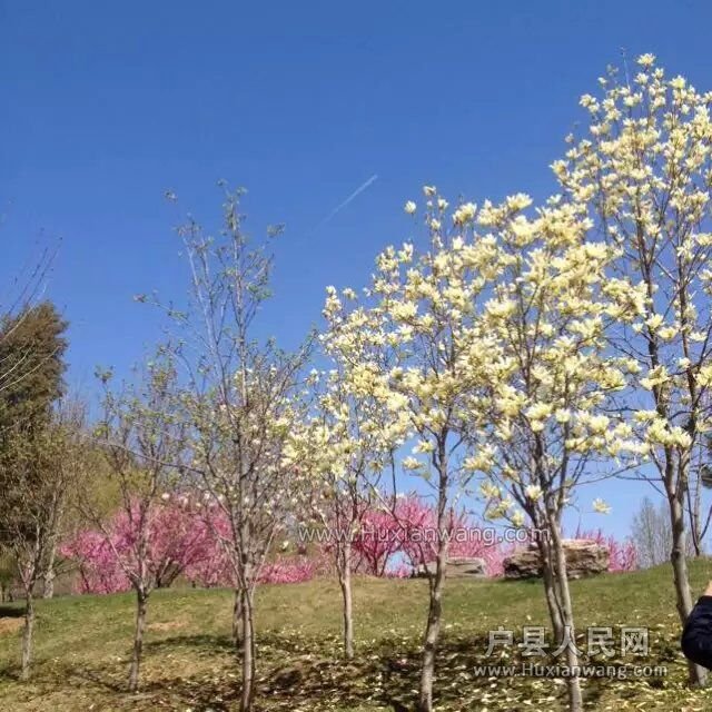 QQͼƬ20160413084508.jpg