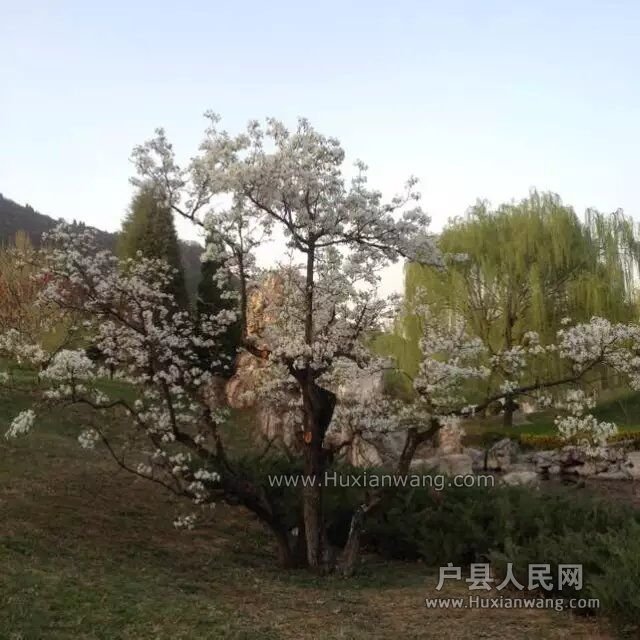 QQͼƬ20160413084533.jpg