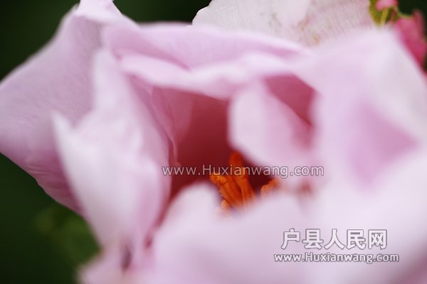 IMG_3955.jpg