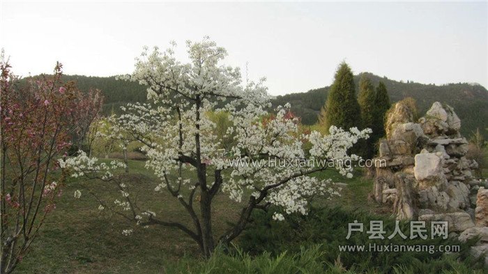 QQͼƬ20160415114816.jpg