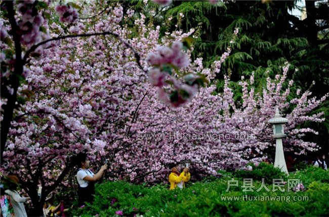 QQͼƬ20160413085426.jpg