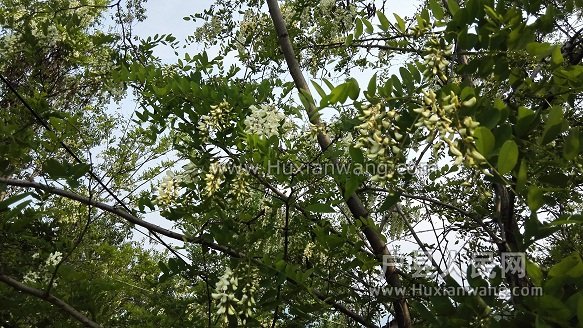 IMG_20160424_151754.jpg
