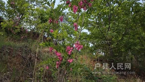 IMG_20160424_152345.jpg
