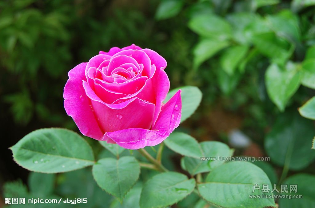 20092268644457_2.jpg