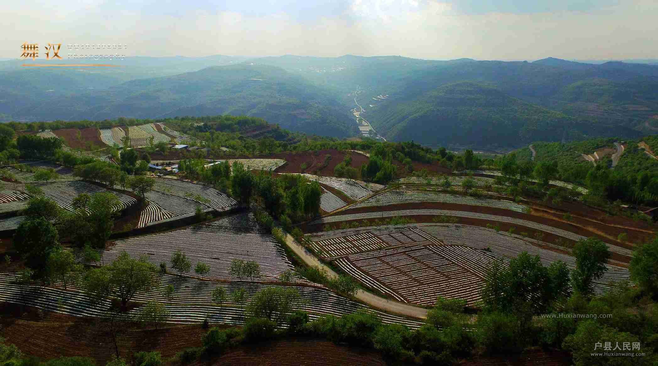 01.jpg