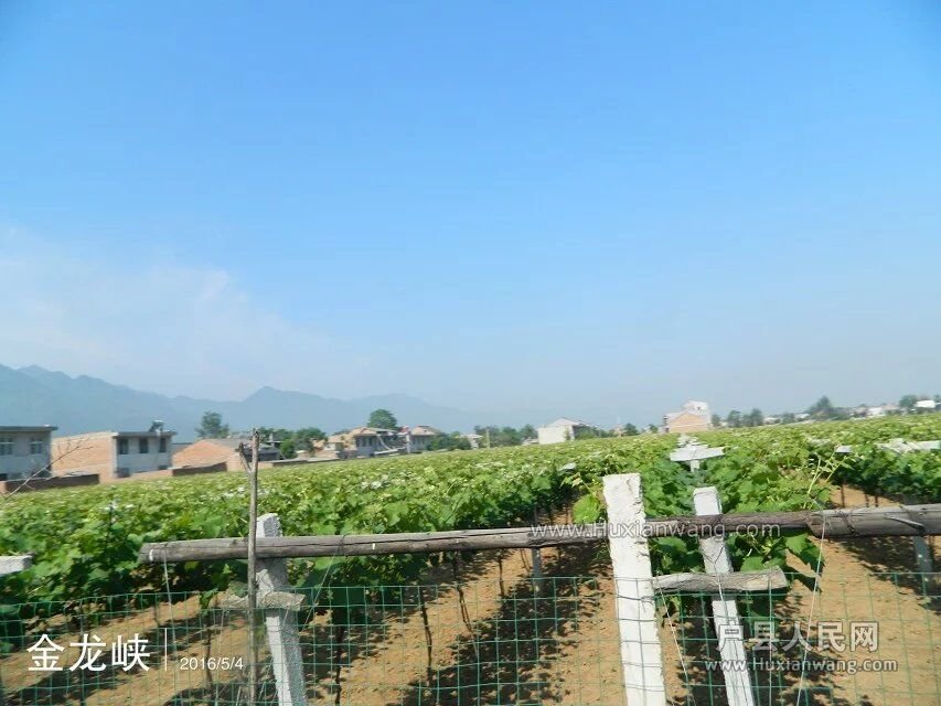 QQͼƬ20160506170858.jpg