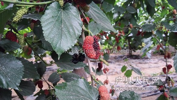 IMG_20160508_161702.jpg