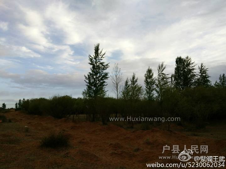 img-e801da48650b3b847112c5c2c881240f.jpg