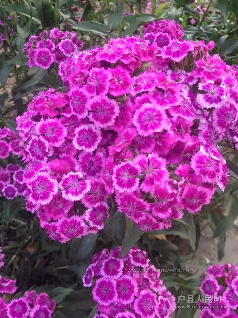 QQͼƬ20160513153623.jpg