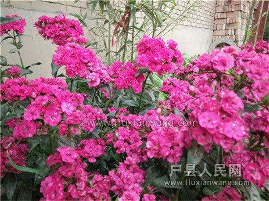 QQͼƬ20160514093124.jpg