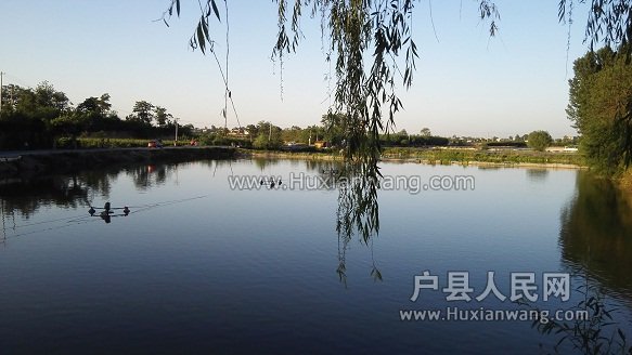 IMG_20160515_190121.jpg