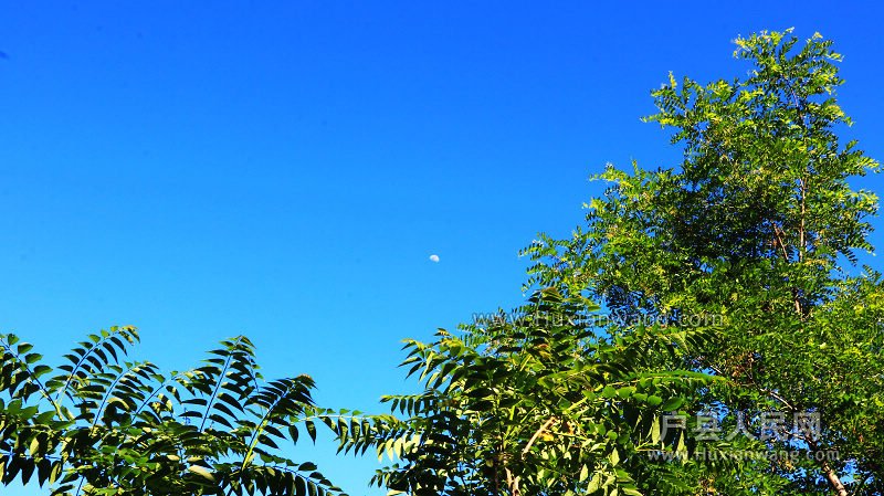 IMG_1857.jpg