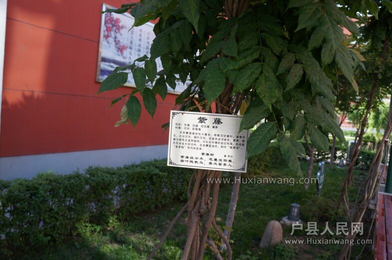 DSC00076.jpg
