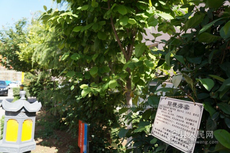 DSC00125.jpg